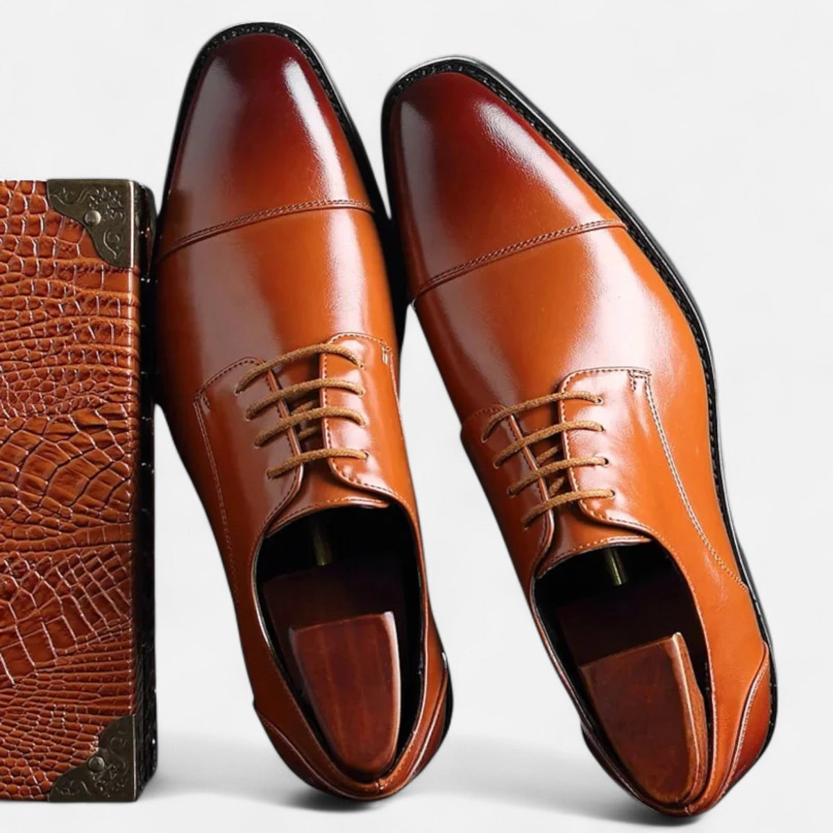 Men's lace-up derby dress shoes in brown